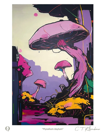 Mycelium Asylum